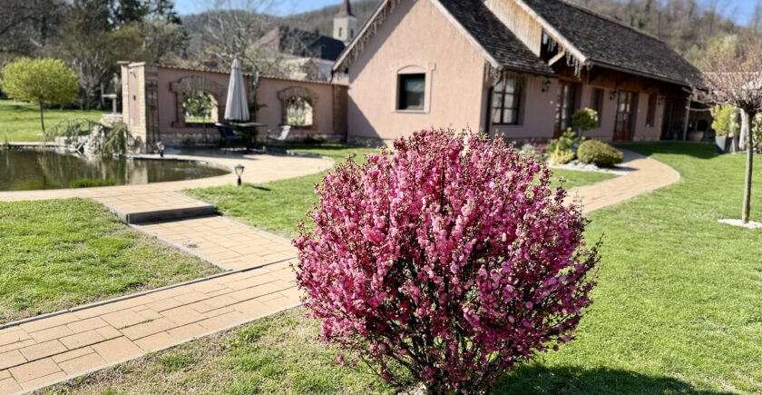 kellemes-mosolygos-husveti-unnepeket-kivanunk